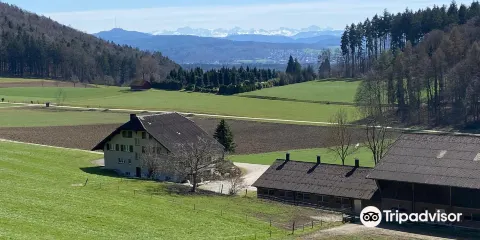 Aussichtstrum Altberg