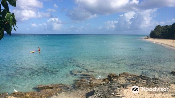 Rhythms at Rainbow Beach