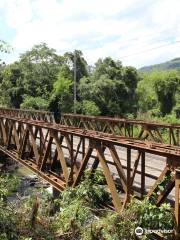 Ponte de Ferro Engenheiro Daniel Ribeiro