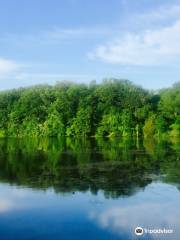 Gifford Pinchot State Park