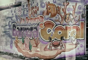 La Pequeña Barrera de Coral