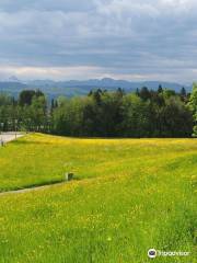 Alpenfreibad Scheidegg