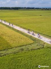 Hoian Cycling