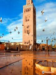 Disfruta por Marruecos