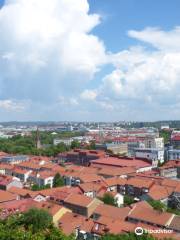 Skansen Lejonet