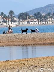 Playa de Las Moreras. Playa Canina