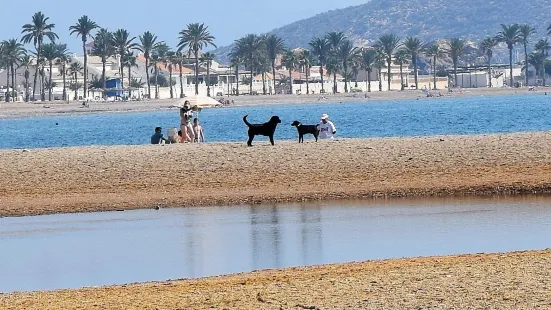 Playa de Las Moreras