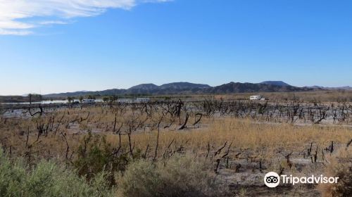 Mittry Lake Wildlife Area