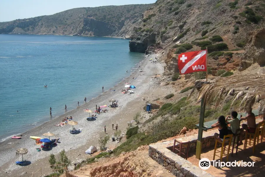 Apothika Beach Scuba & Kayak beach