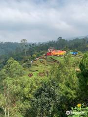 Batu Flower Garden (wisata)