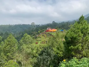 Batu Flower Garden (wisata)