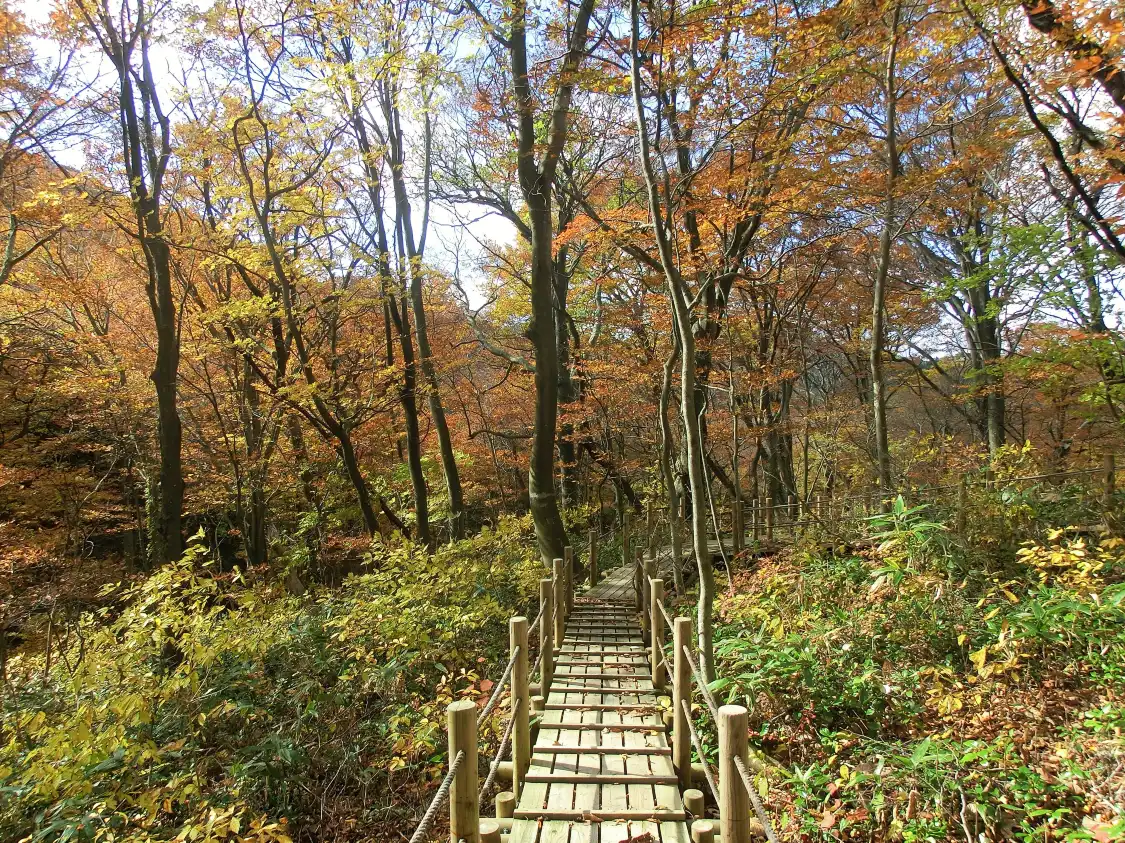 Hotel in zona Mt. Tome