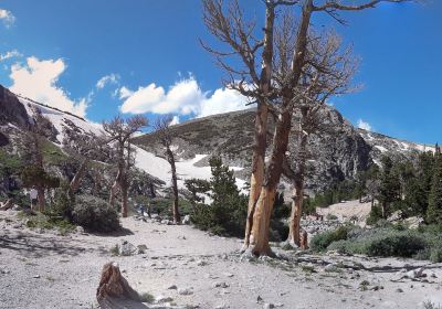 St. Mary's Glacier