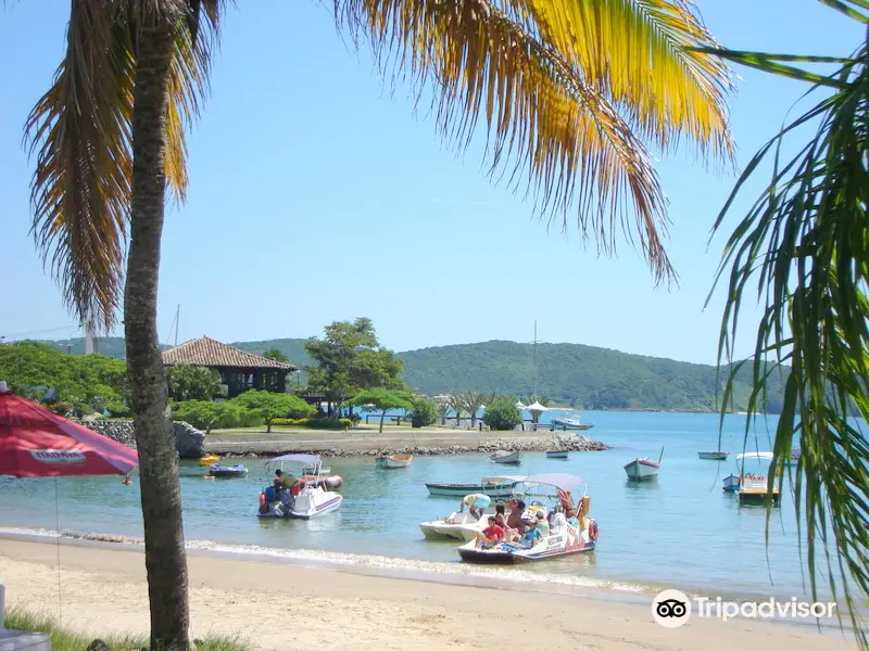 Praia dos Ossos