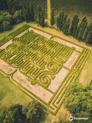 Borges Labyrinth