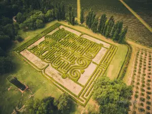 Borges Labyrinth