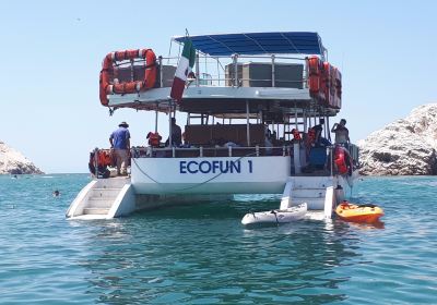 Ecofun Rentals