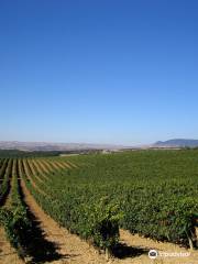 Bodegas Señorío de Líbano