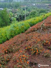 Rainbow Garden Lembang