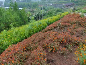 Rainbow Garden Lembang