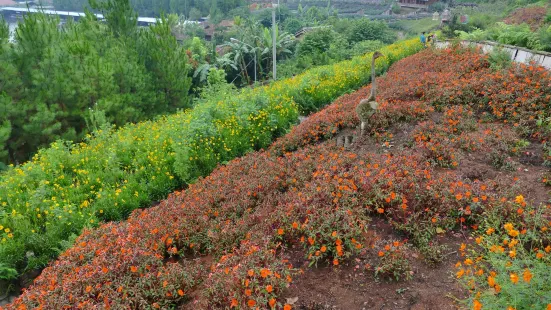 Rainbow Garden Lembang