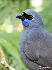 Pūkaha National Wildlife Centre