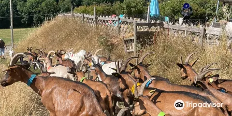 La Chèvrerie de Céüze