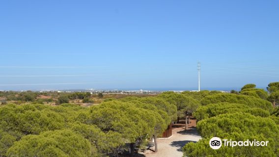 Parque Mata Da Conceição