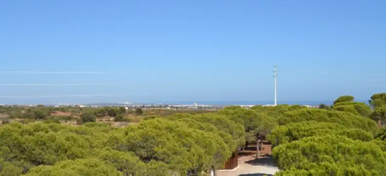 Hotels near Cabanas Beach