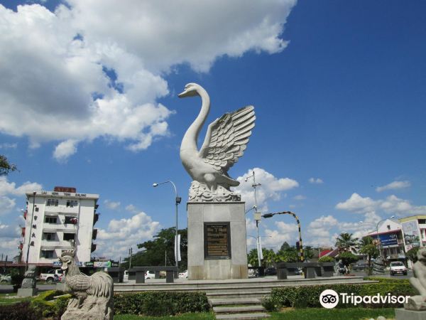 Lin's Swan Garden
