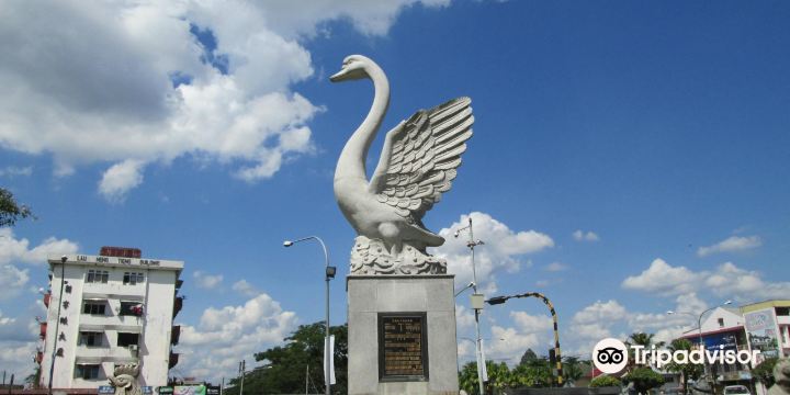 Lin's Swan Garden