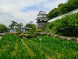 Kushima Castle