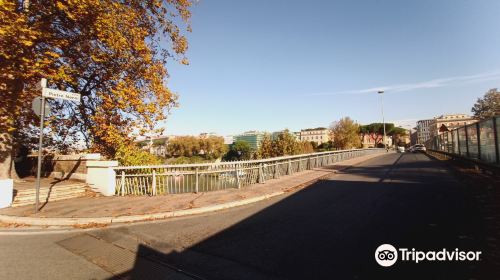 Ponte Pietro Nenni