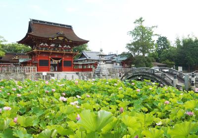 Iga Hachimangu shrine