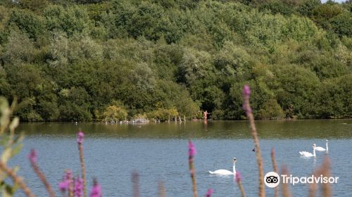 Ruislip Lido