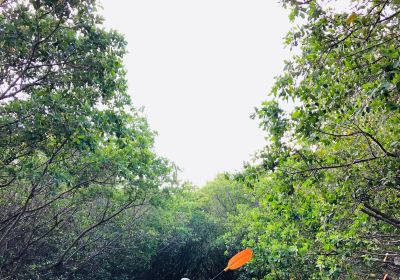 Clam Bayou Nature Park