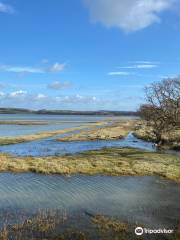 Newtown National Nature Reserve