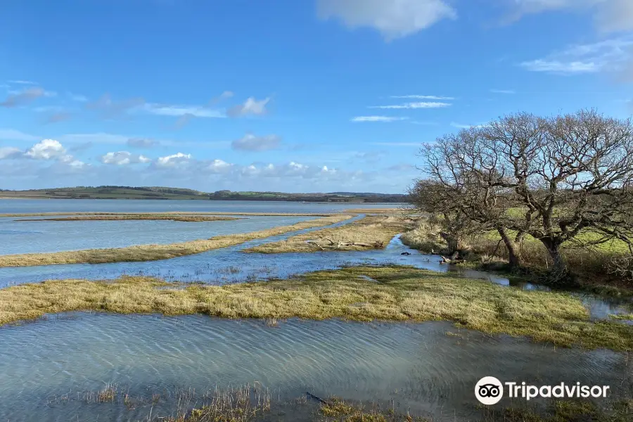 Newtown National Nature Reserve