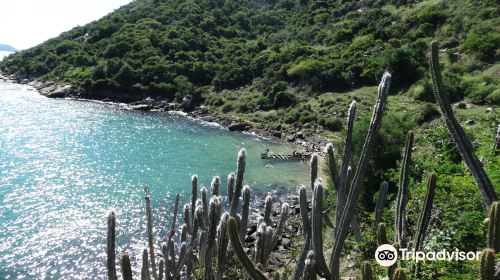 Gracainha Beach