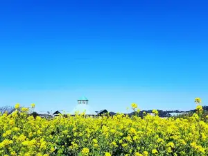 Road Station Tomiura Biwa Club