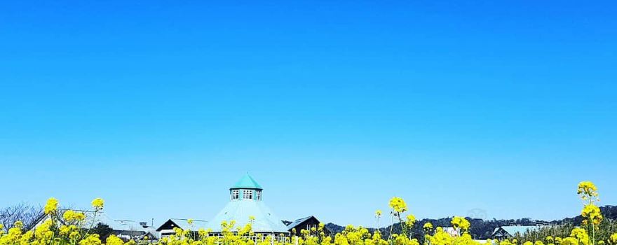 Road Station Tomiura Biwa Club