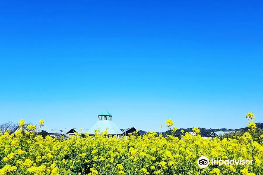 Road Station Tomiura Biwa Club