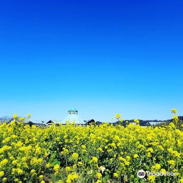 Road Station Tomiura Biwa Club