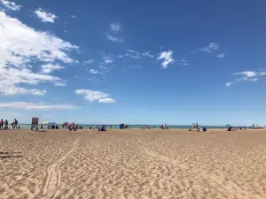 New Buffalo Beach