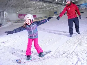 Snow Factor