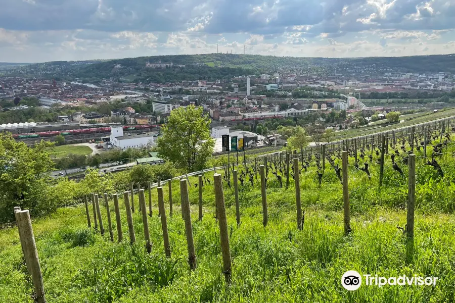 Weingut am Stein, Ludwig Knoll