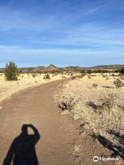 Black Mesa Summit Trail