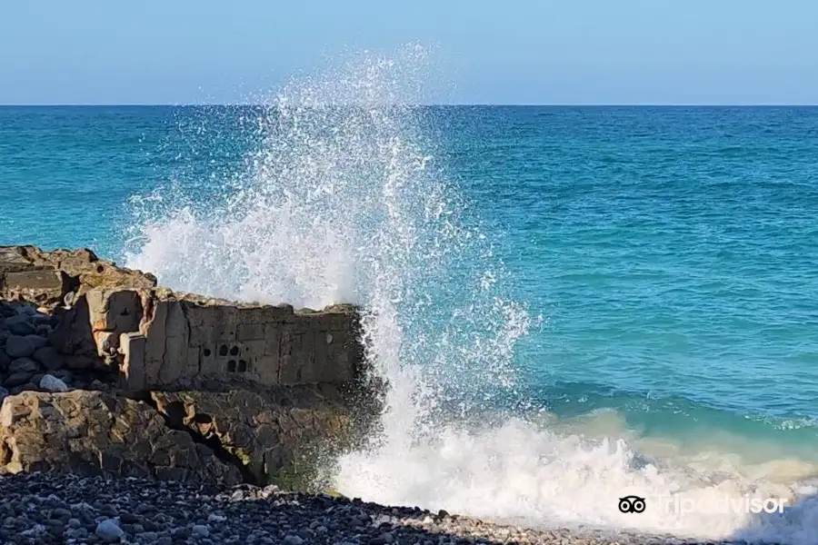 Cabo Pulmo Marine Preserve