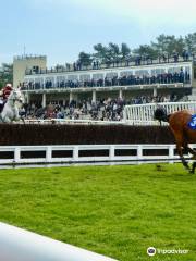 Ludlow Racecourse