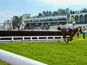 Ludlow Race Club Ltd